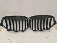 Nierengrill BMW X1 F48 LCI Lift X-Line Dummy Grill - galeria