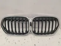 Nierengrill BMW X1 F48 LCI Lift X-Line Dummy Grill - galeria